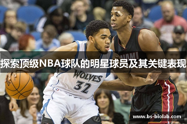 探索顶级NBA球队的明星球员及其关键表现