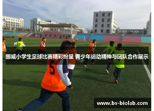 挪威小学生足球比赛精彩纷呈 青少年运动精神与团队合作展示